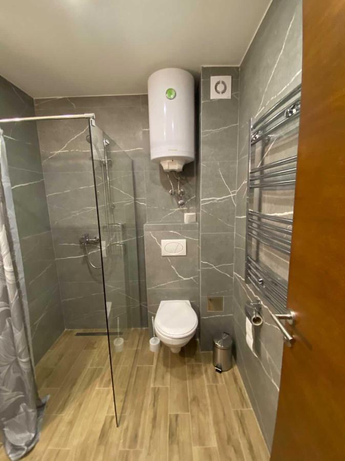 Apartment Milosavljevic-president Kop
